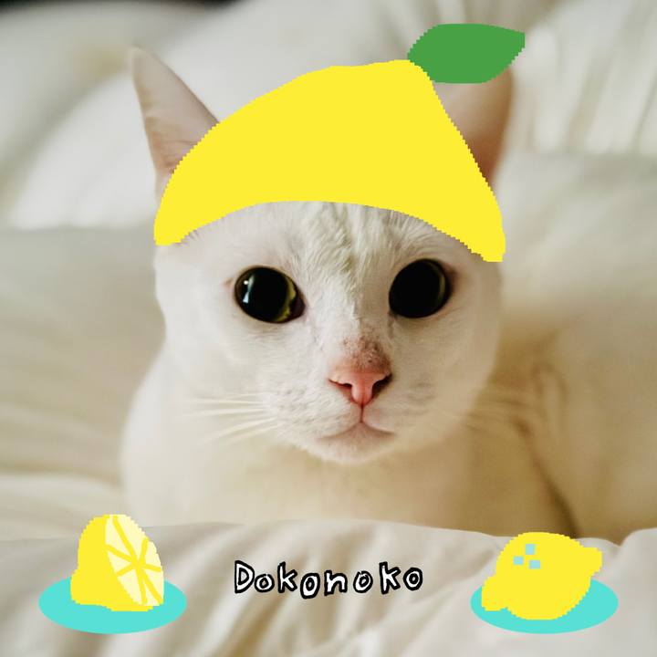 5933a6c6 9bc1 4f20 8740 3b059511d6a9 1741104269401