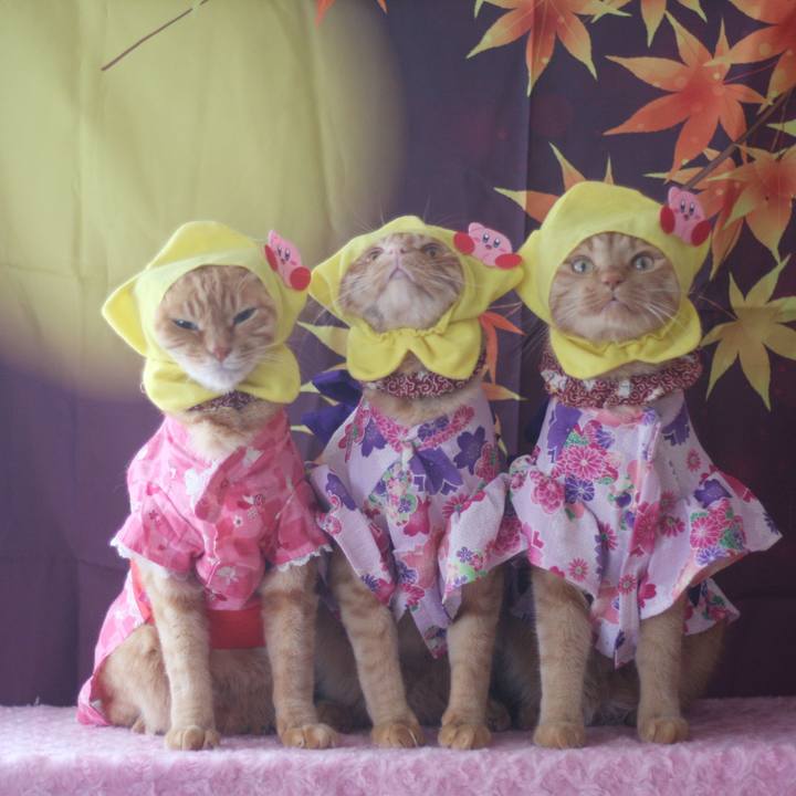 5933c9a5 288c 432e a9fe 5d4d77164482 1726402495018