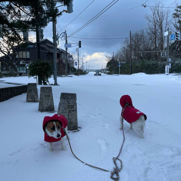 5933cc27 724c 4ef9 b13a a0336dc13516 1676421028473