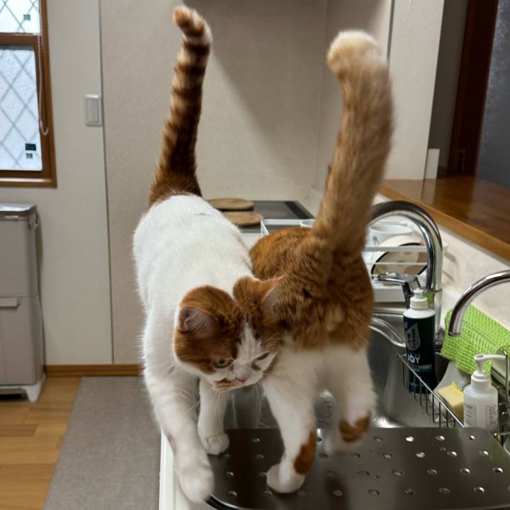 5933ccc2 37cb 4364 bb9d 24edb37d78c4 1766193755845