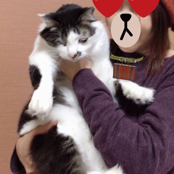 5933dda6 ec19 484f b247 be938a537bc4 1552699311163