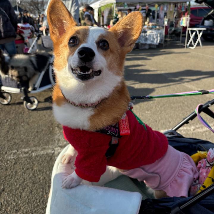 5933f0bd ae8c 4fd2 b0c0 deffc61073b0 1765609424410