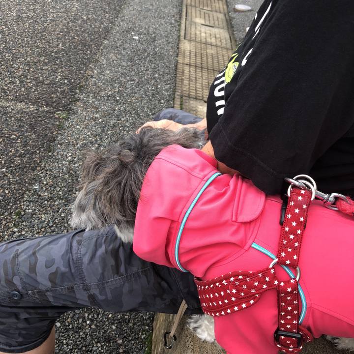 59346c6a 7af0 4f8f a30c afe2b18f4b66 1537049943631