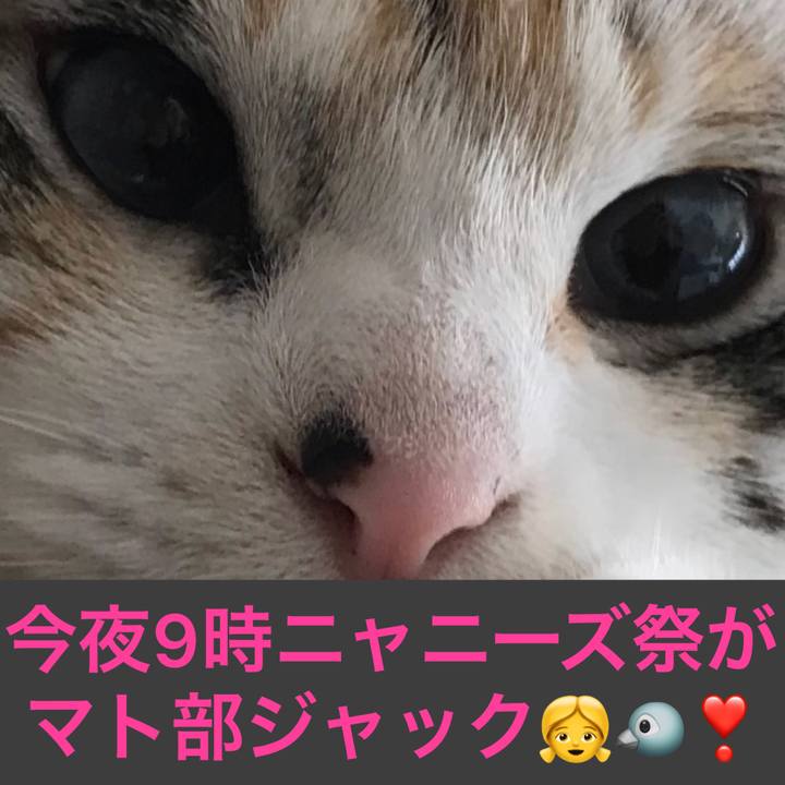 59349986 eee4 40df 83af f4ab173d2361 1523656490034