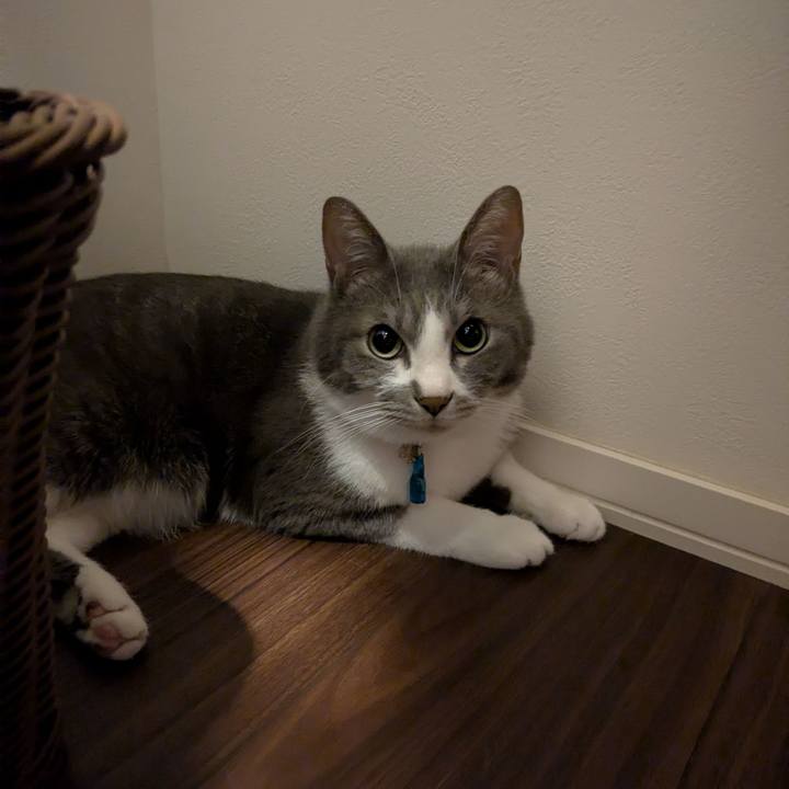 5934c539 16bd 4d1d 8bf0 37bd11907d13 1756210167961