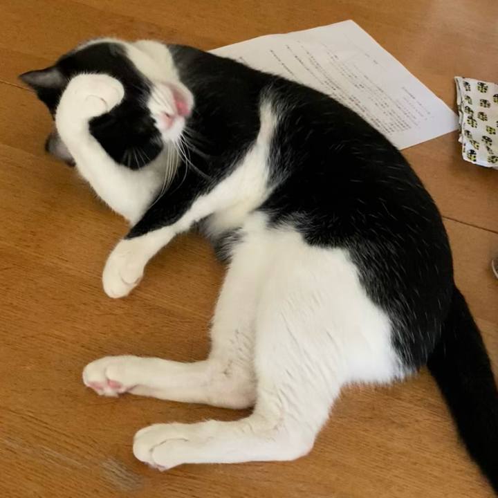 5934c9ec 1a6e 4c8d 8d0c de76f0885d43 1720946880676