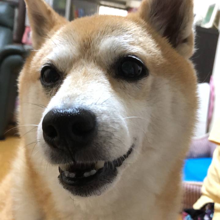 5935037f 1b03 4fd5 98f1 9242e79dba8b 1594987389485