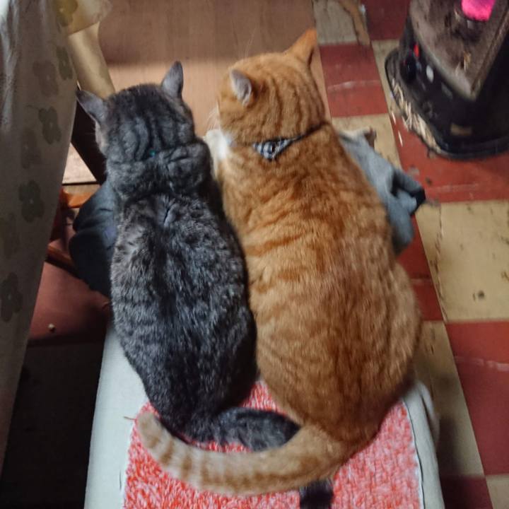 59351669 ba6d 4109 965c 30cf1a1992bf 1607631707441