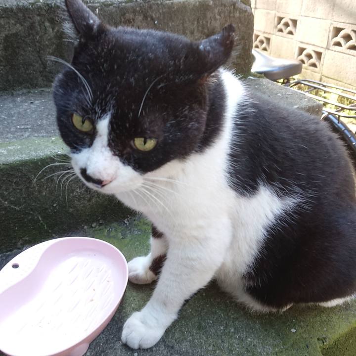 5935168d f255 4e05 bb3a 6992cd125d5b 1596529182963