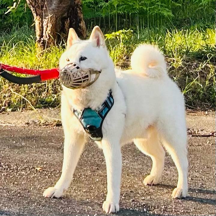 59352ff6 163f 4a3b 8eba 9926c22aa18a 1753401743257