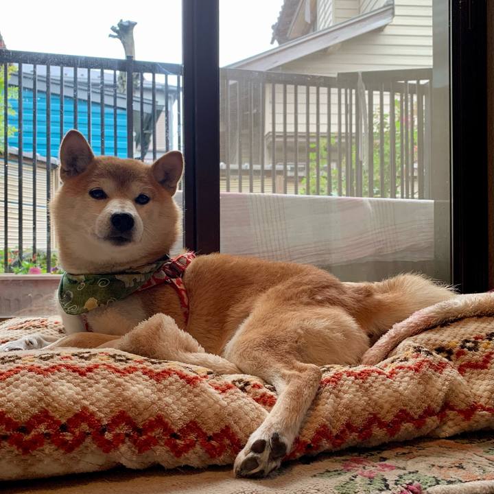 593550df f6ca 4fd6 b132 012c70b9beb1 1604307910874