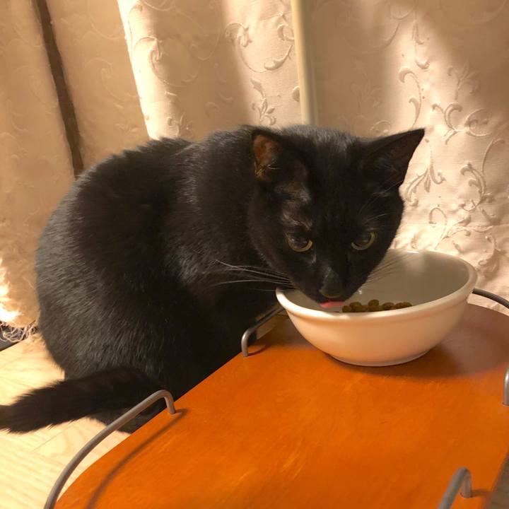 59358105 ecbf 48d4 b34a 7acf4bb4e4ec 1550747839864