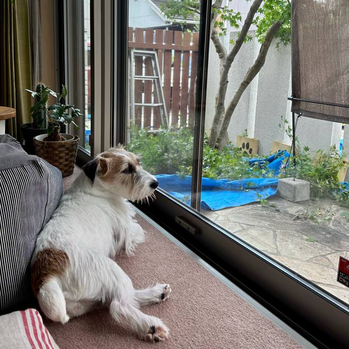 5935c0db 5259 4d4f b6ad b2d8a5d73c3b 1693963101230