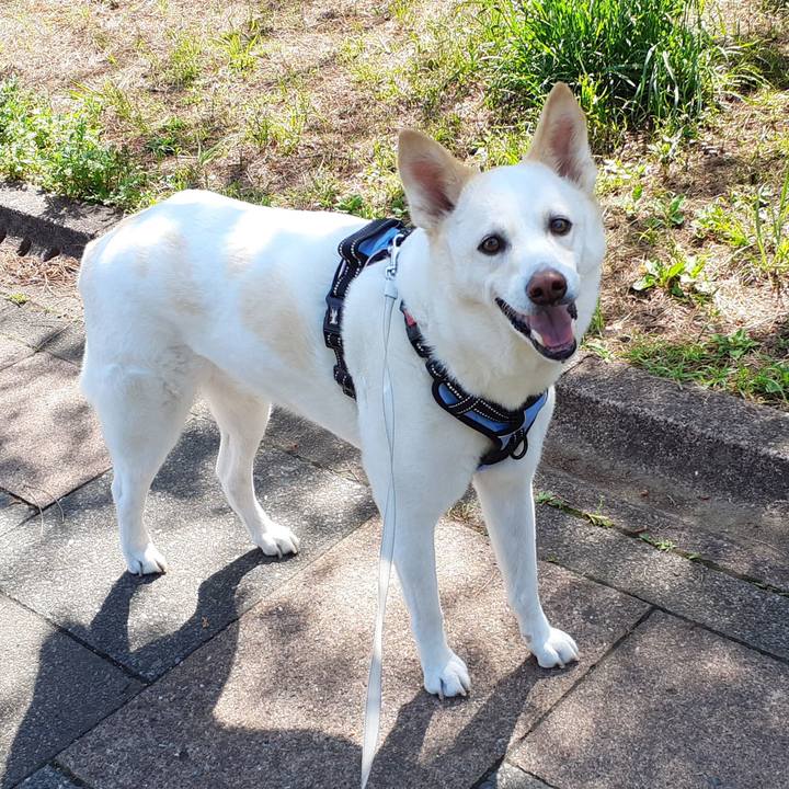 5935d31e 6760 47de 8507 015254413a6a 1684647395196