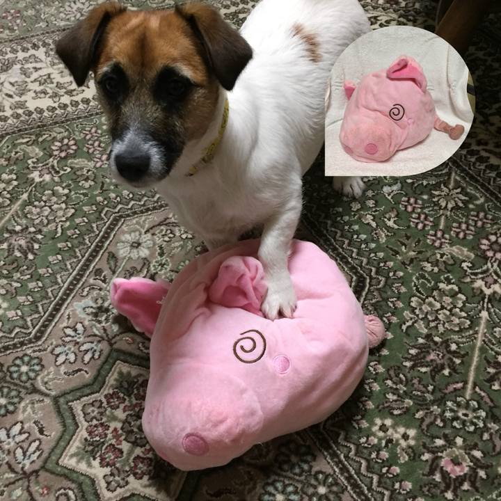 5935e888 3060 4fb5 aeb2 16f926f0418b 1521039844382