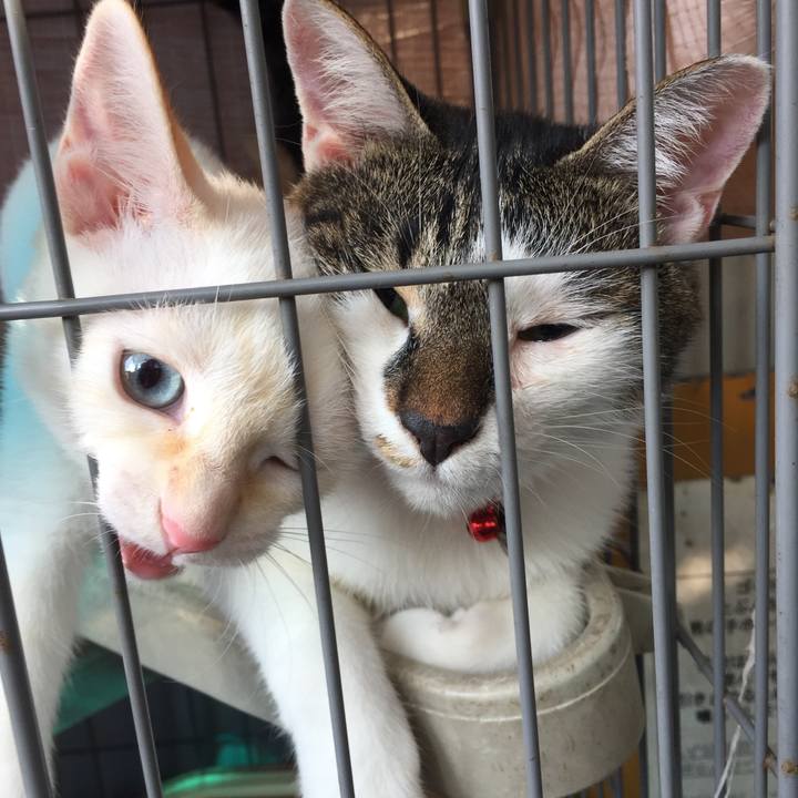 59360dd0 3414 4705 a688 9d2ec98ddab4 1564706260252