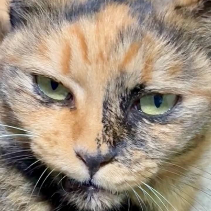 593634ff 2afb 473f 9c96 1ed0ffe88177 1756499678019