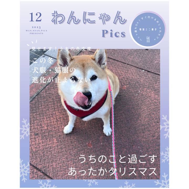 593681de dfbf 4e58 8eb3 34073a18af90 1701763448001