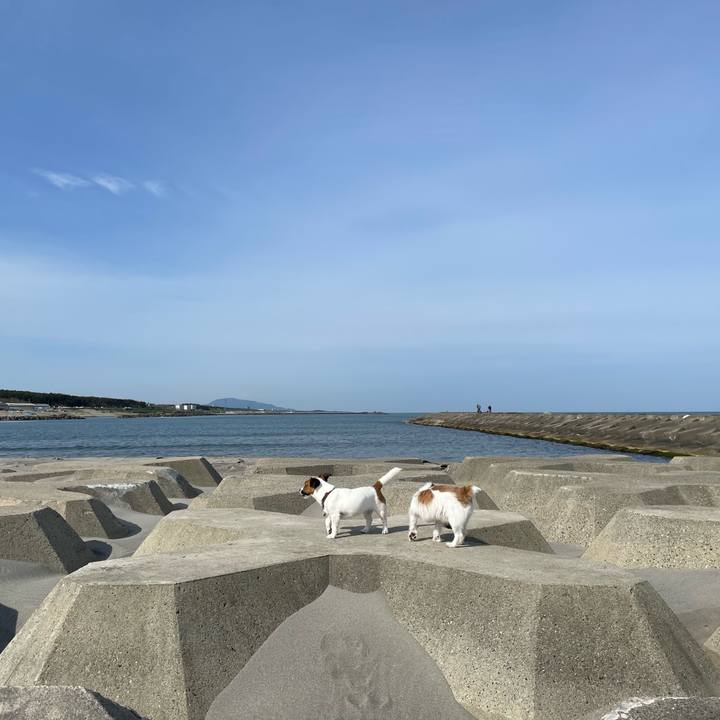 5936be95 5834 46b6 81b3 68bf1a4cc289 1683073318527