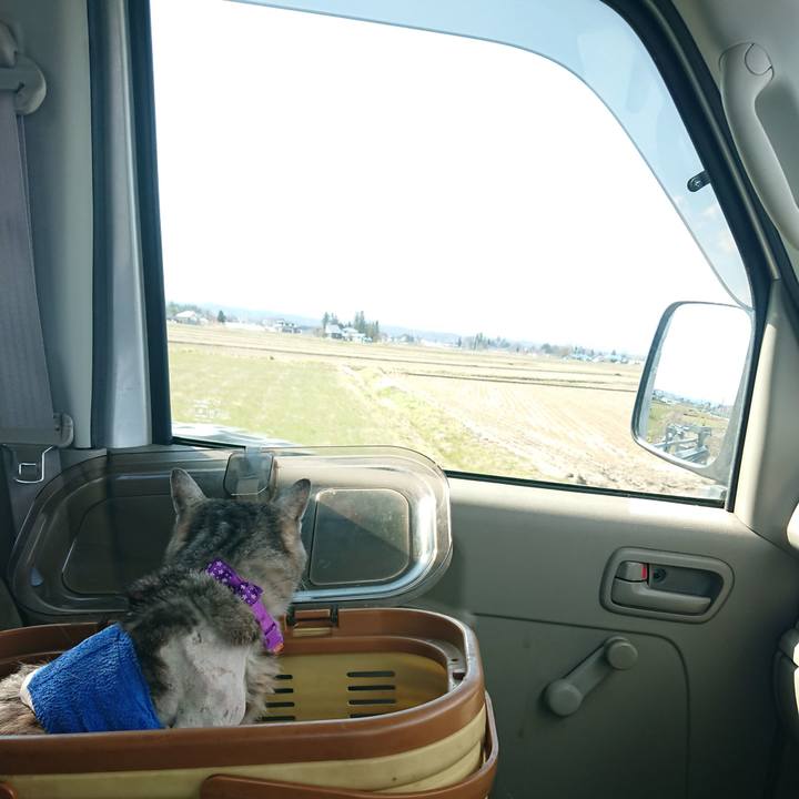 5936d10f 1586 4acc 85f1 68385ca9087c 1587017081540