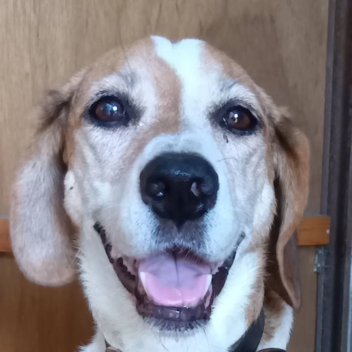 5936f9c0 fdac 4a58 902f 583717f1790b 1735025318635