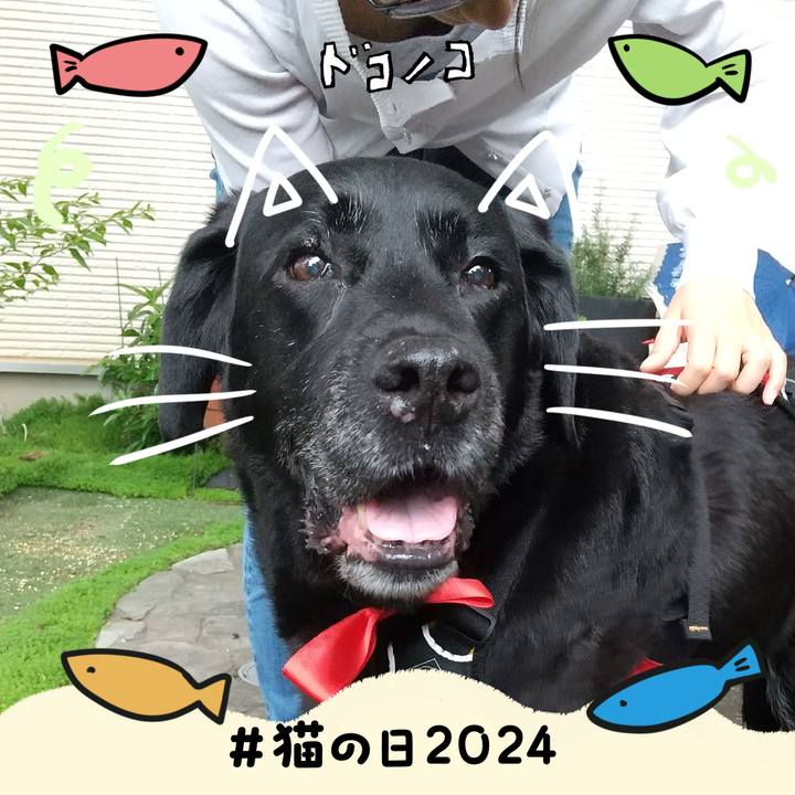 59377119 3c89 4a2a b1e2 8d31083b75a8 1708561931689