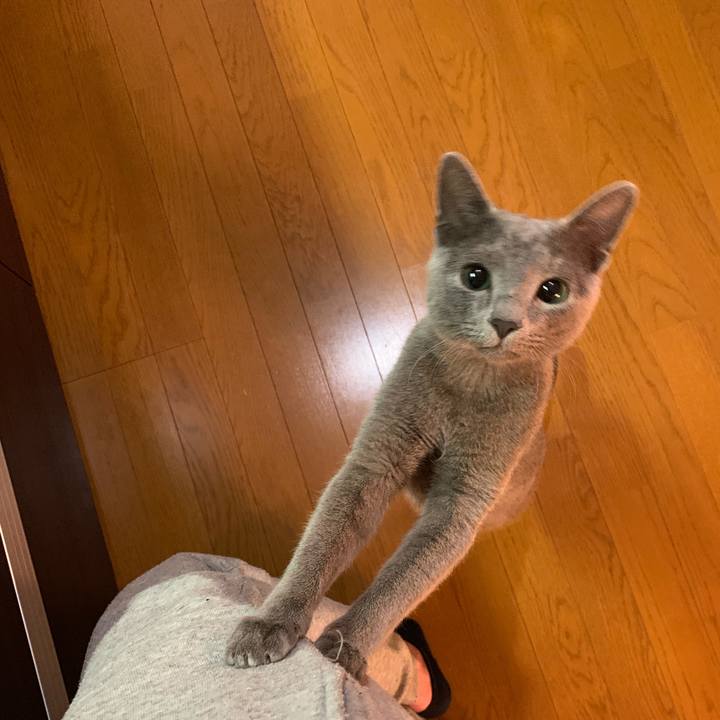 5937a09e 4c0d 4aad 9aa6 67f687235ca2 1576237296593