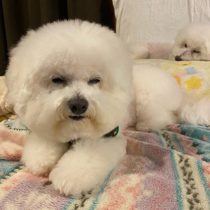 5937d2c5 5bcd 4a55 8c04 337664e55f37 1638774684292