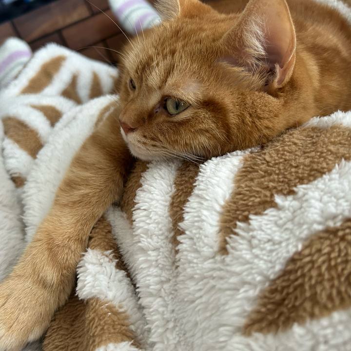 5937d753 0671 49aa 97dc dd1fc676c5ef 1702688469547