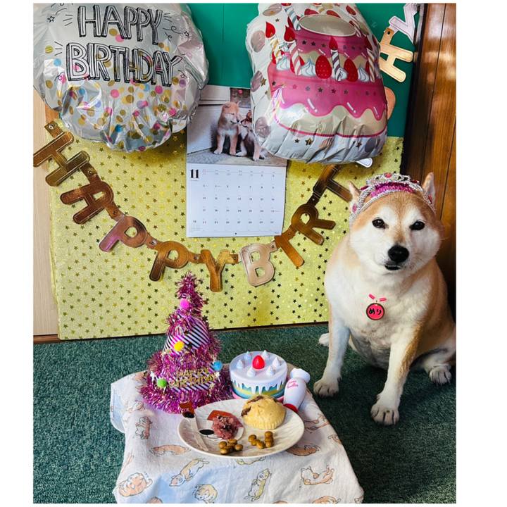 5938045c a019 49e4 9bab a6c376294db3 1731251497934