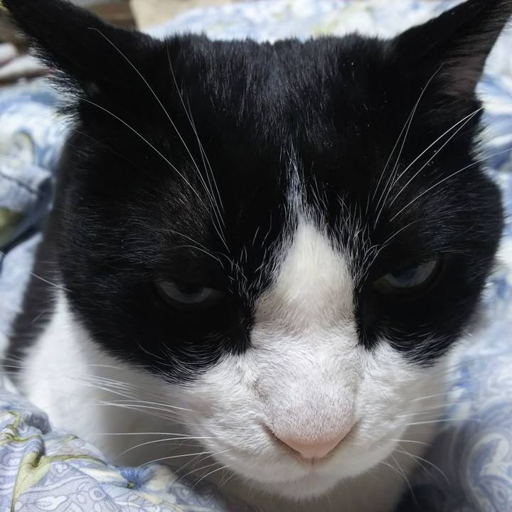 5938146b 56ba 4051 a6d4 4112f1fab21b 1577192923909