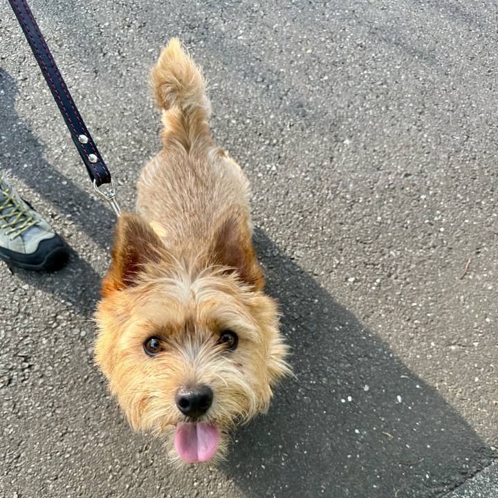 593851ec 8386 4846 b40e 6b99c24e4a93 1751550012202