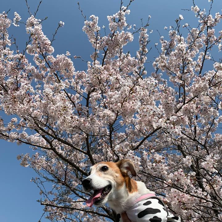 593853bd 5373 4ea6 81d0 d9d95748d98f 1586145526962