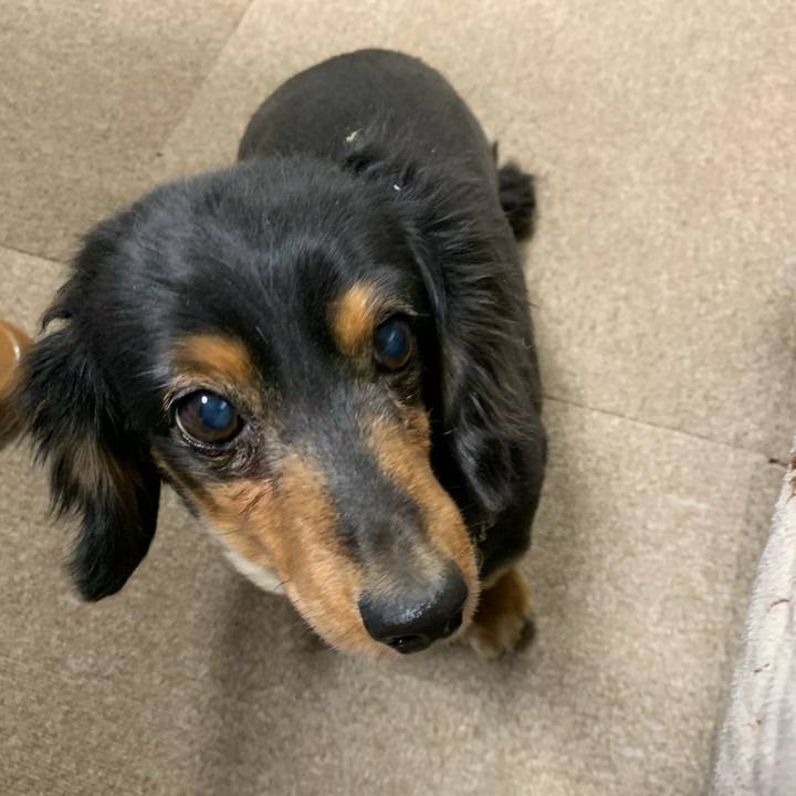 59385a76 aa39 45db b839 d1df571d2756 1584655338667