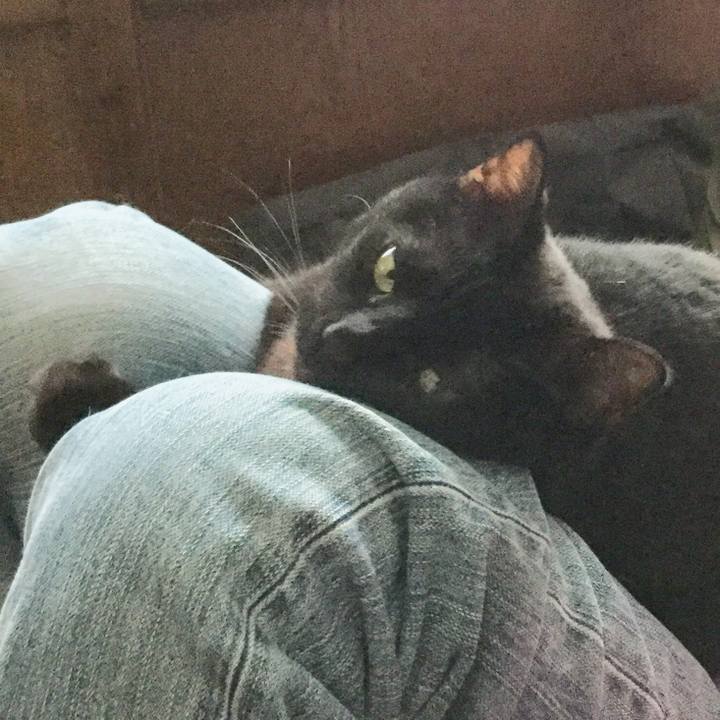 5938a463 c8f0 40df 91df 23c9f8cc99b5 1589092675005