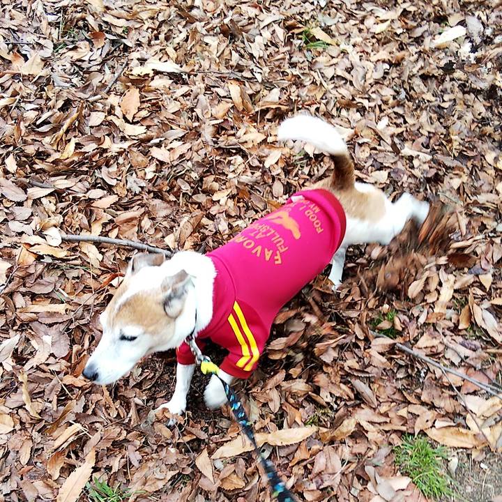 5938b006 88e7 402e 9869 5ef08ebb4311 1546410173564