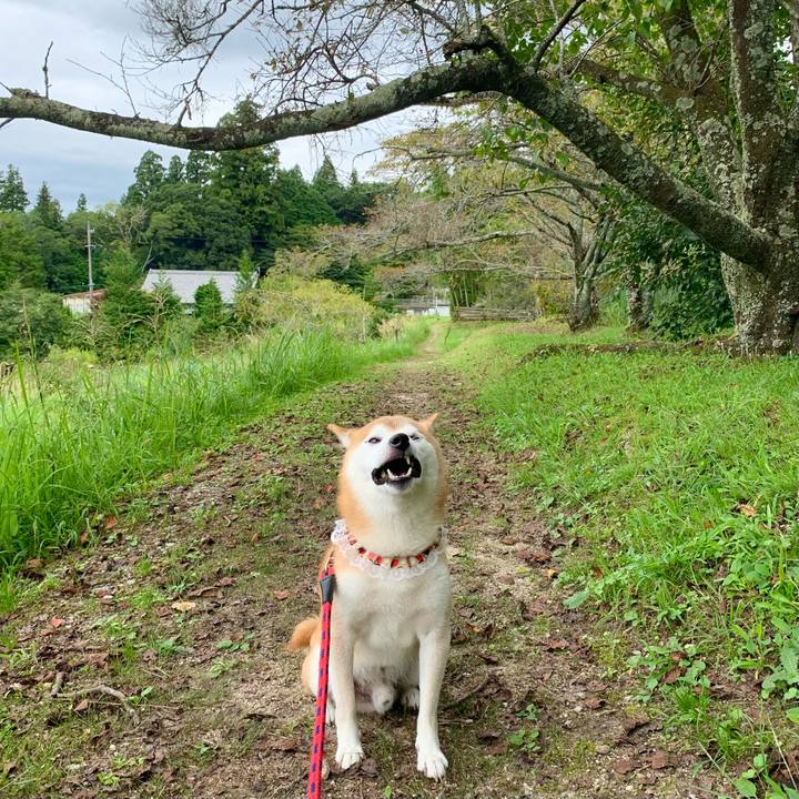 5938bb06 cdb7 4003 8053 48229ef63500 1663404341434