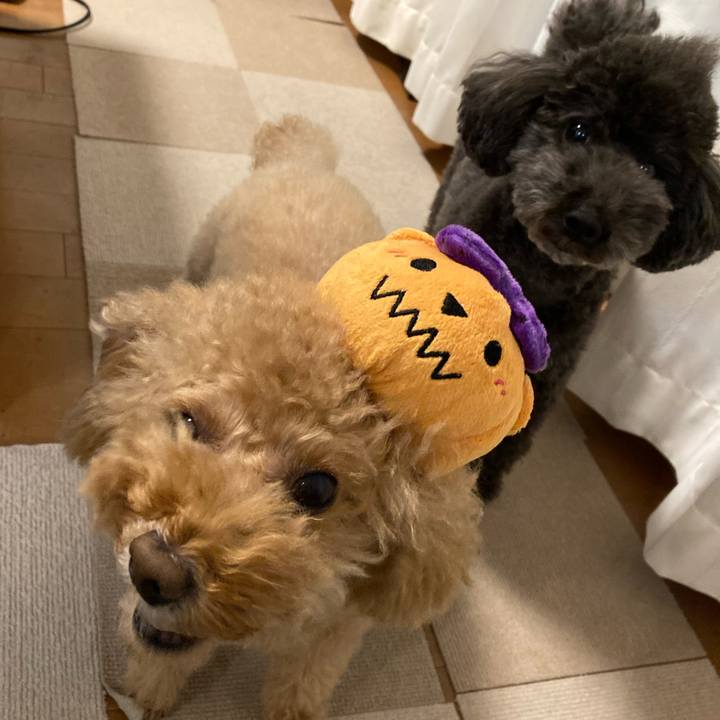 5938bca8 bc22 4ff1 a5ea c8fe6c18c427 1667089428669