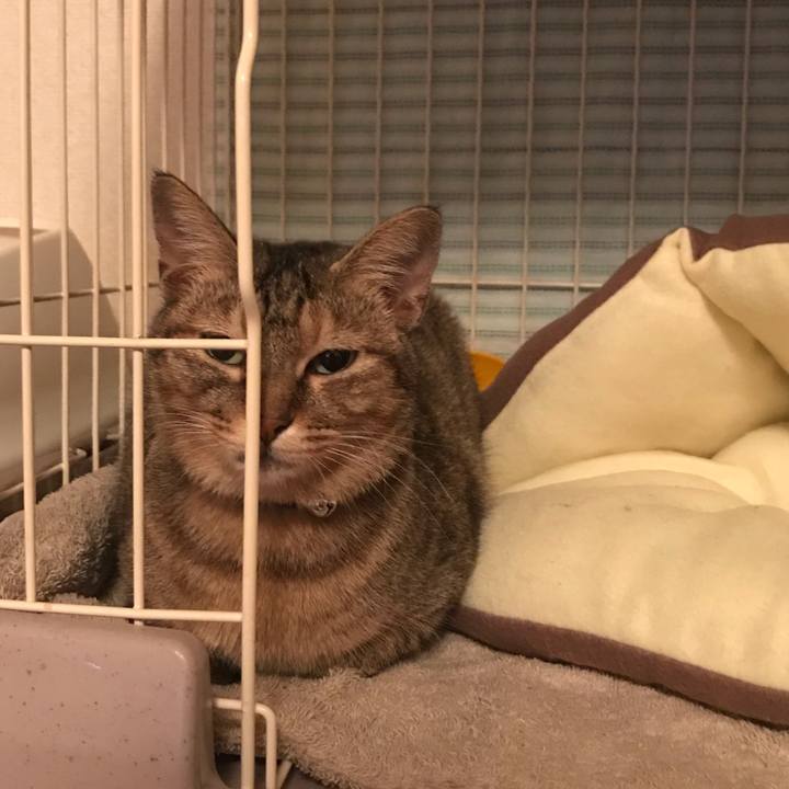 5938cd3a 52a7 47da 9678 ab3d00e05f81 1574426638404