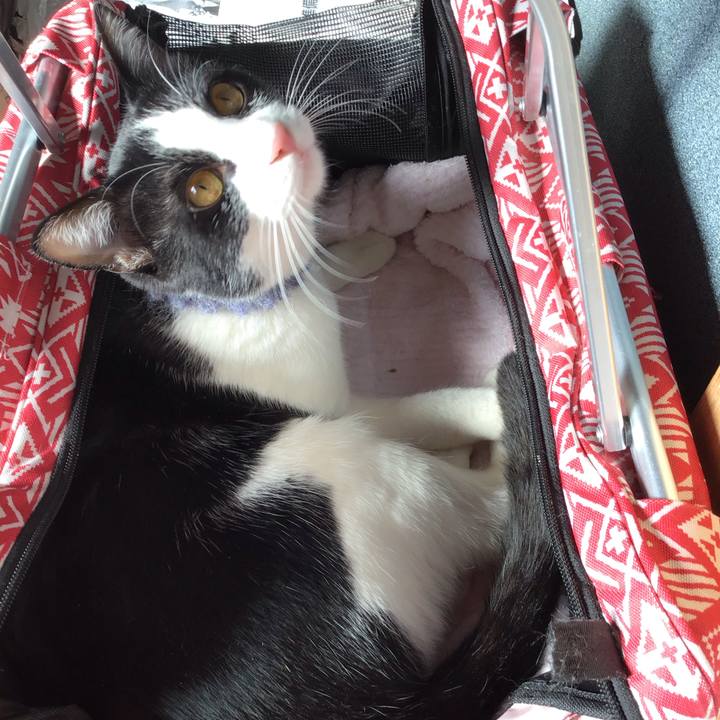 59391dcb 54ed 40bb 82e6 8a829e89ce47 1643248433148