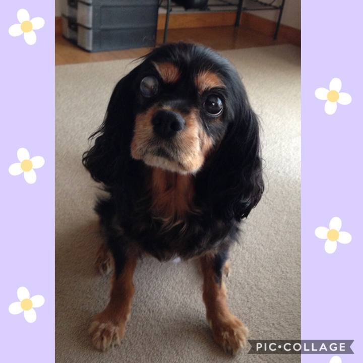 59392492 fa43 48ad 8e3e a882f58e8c77 1559628944534