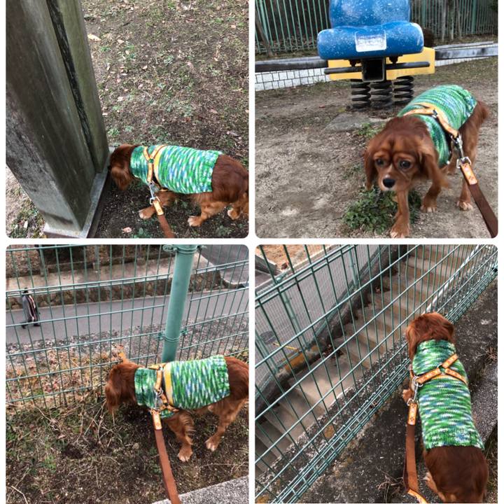 593949a3 d15d 4af1 b9b8 1e1e7e3bc7b0 1549097856096