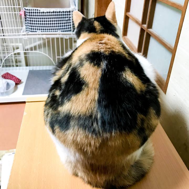 59398b63 a508 4106 b0c8 fe37772c09cb 1518101826601