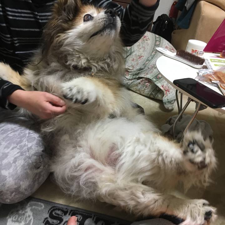 5939a022 90c0 4c70 9526 15dbef566358 1552303097773