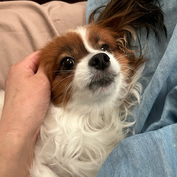 593a0111 0c56 4ab8 bfa9 fa1680f7ba7d 1759876288747