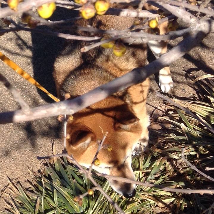 593a18a8 b28f 4d29 99bb 72900c57a067 1517889383205