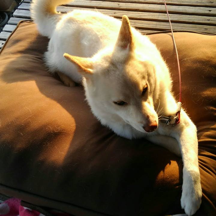 593a26c3 86cc 4899 9ed4 e33b2448af35 1553741812165