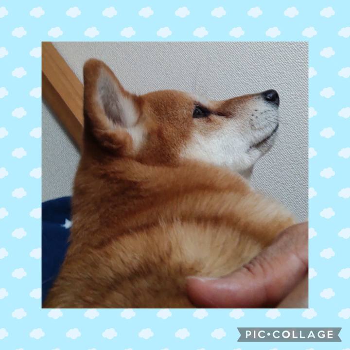 593a387b 003f 4206 9cfe fcacc599c054 1740731828145