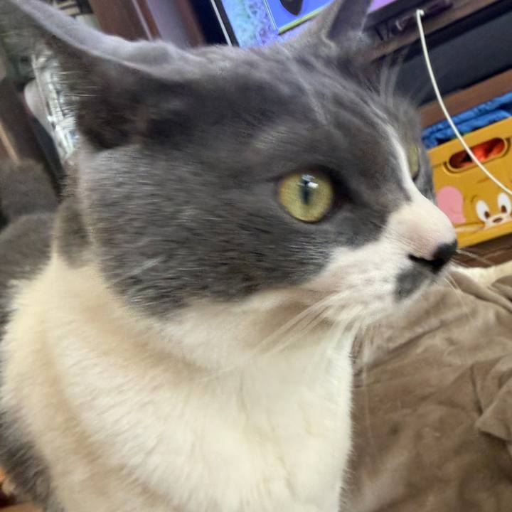 593a5426 dba0 498a a8ea 2777a32e7e03 1773534979823