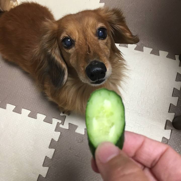 593a7034 e6e7 48c7 9bc4 bb6bcf322f55 1548077465225